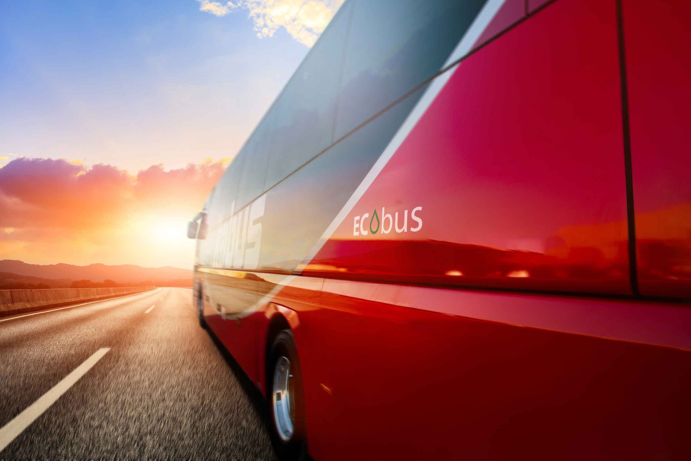 Itabus The Revolution Is Coming Down The Road