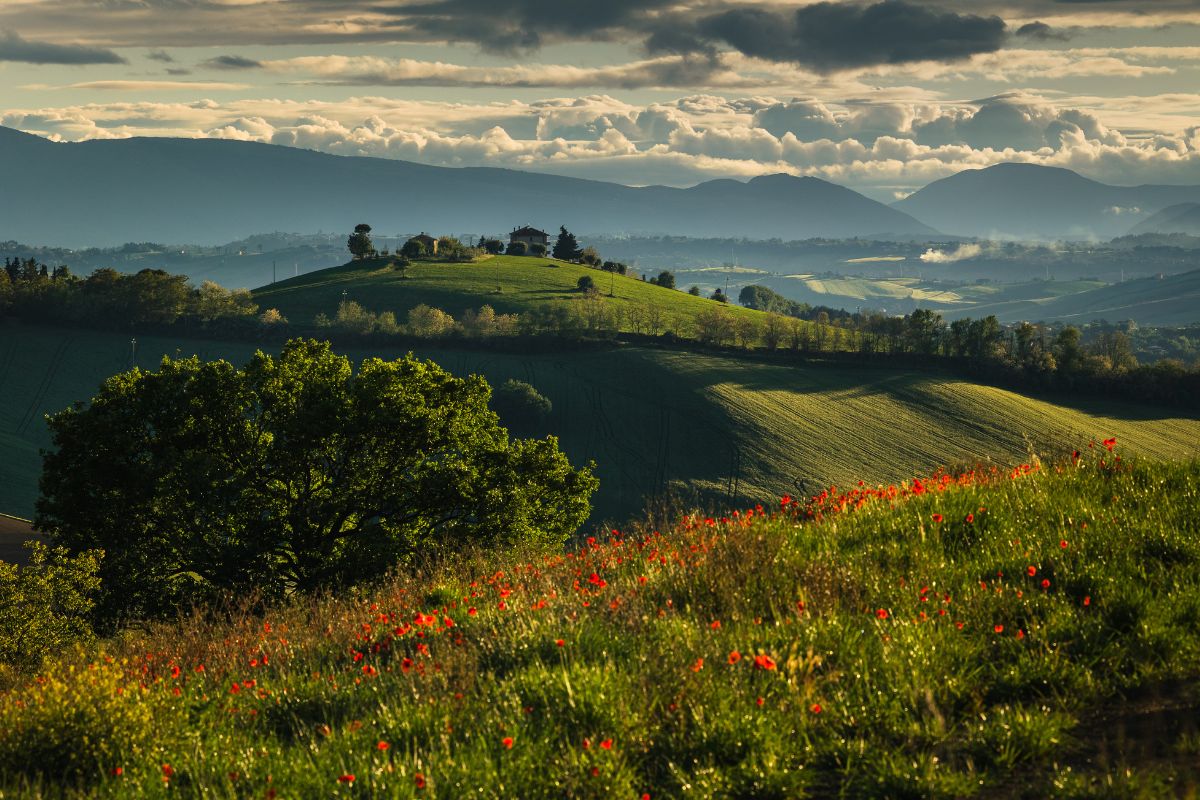 Cosa Vedere ad Ancona in un weekend