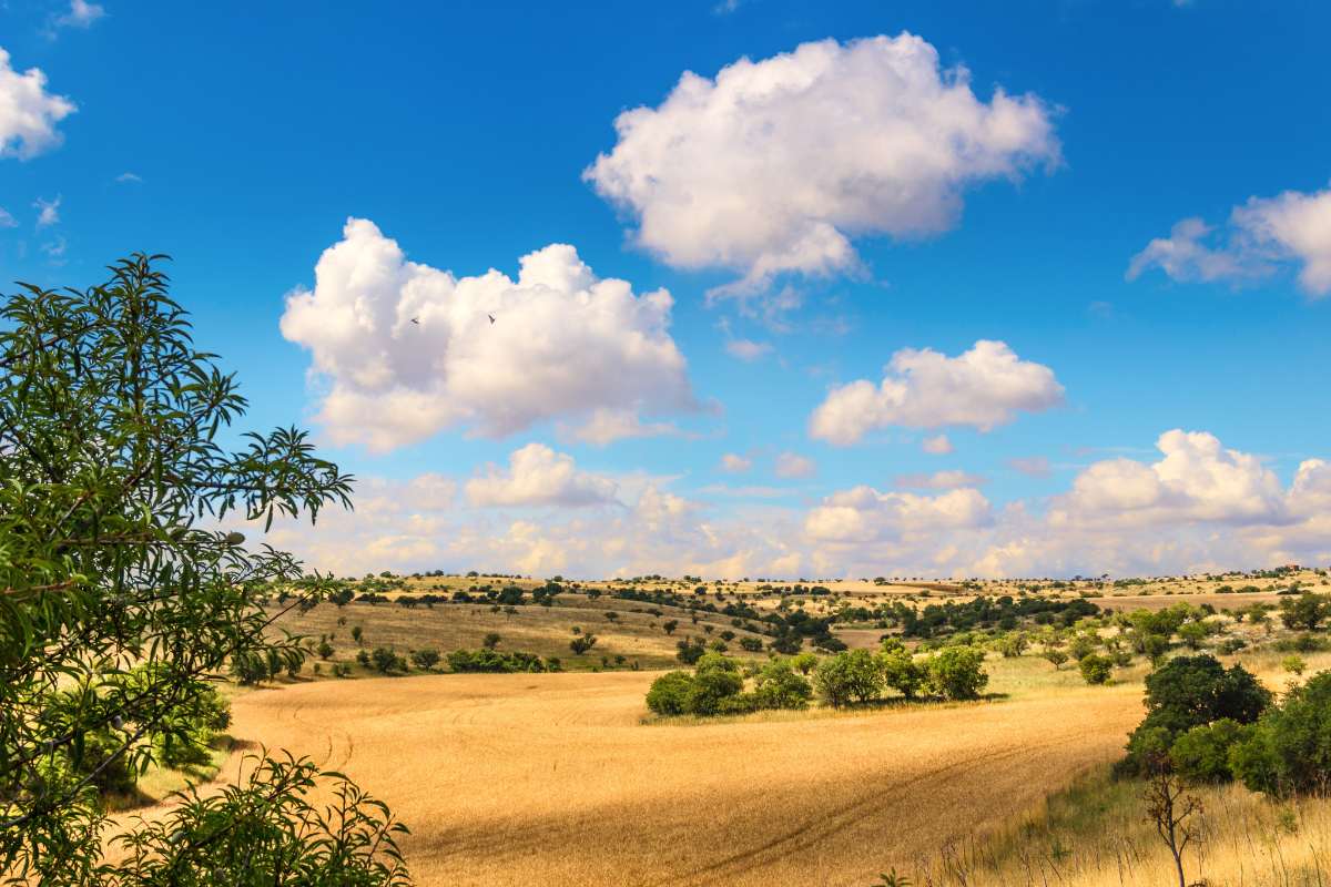 Parco Nazionale dell'Alta Murgia