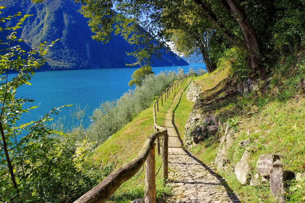 Sentiero degli Ulivi Monte Brè