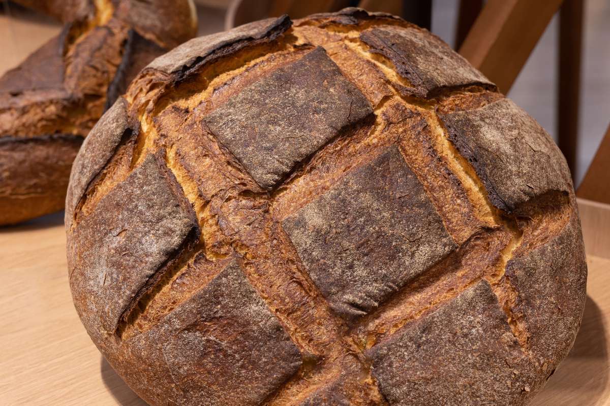 Cosa mangiare di tipico ad Altamura