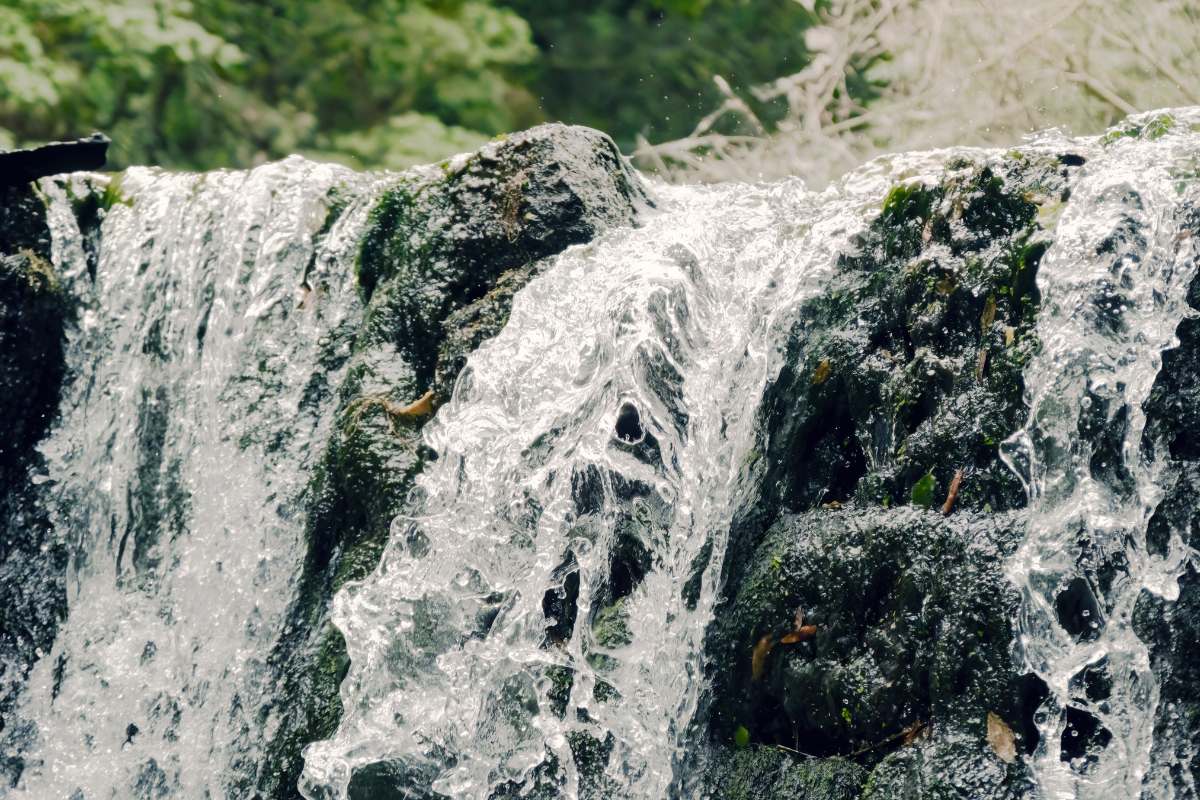Sacro Bosco di Bomarzo