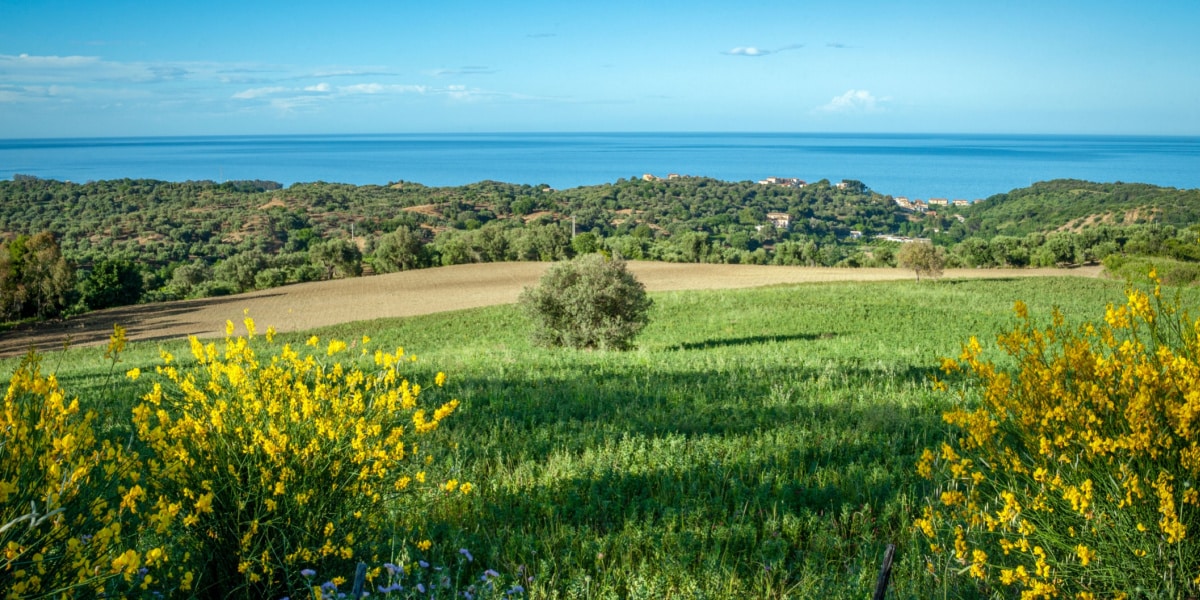Viaggio Padova - Crucoli