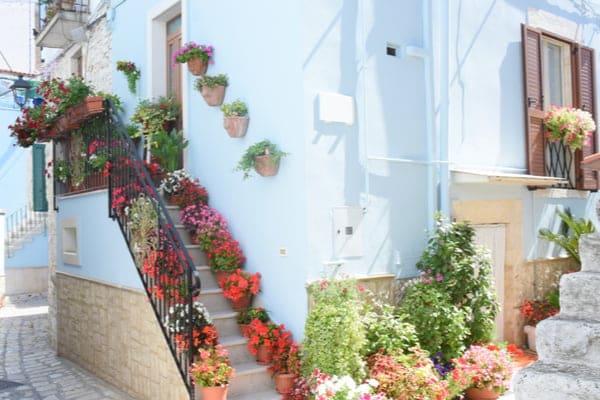 Viaggio Padova - Casamassima